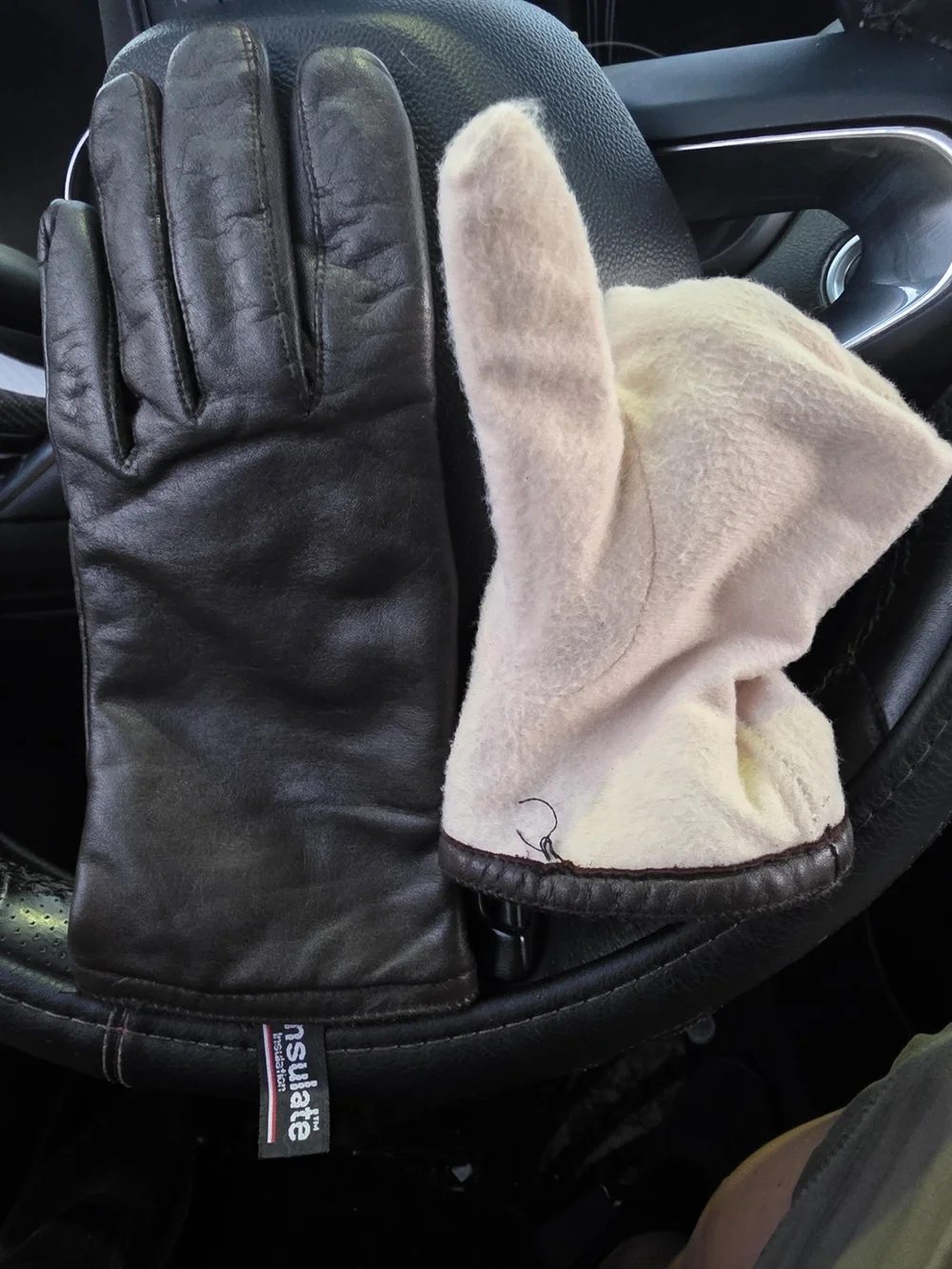 Thinsulate Thermal INSULATION Brown Leather Gloves.